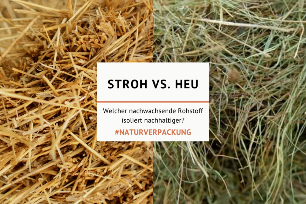 Difference Between Straw and Hay