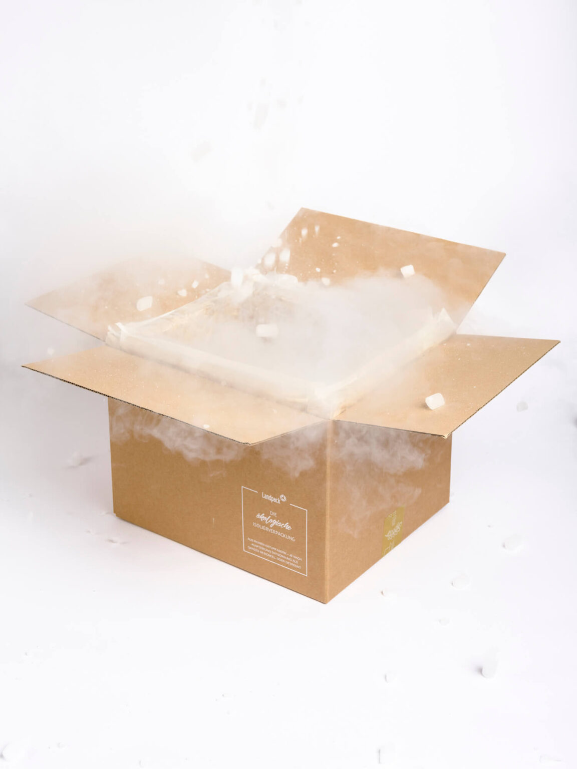 Shipping frozen goods safely with dry ice Landpack GmbH