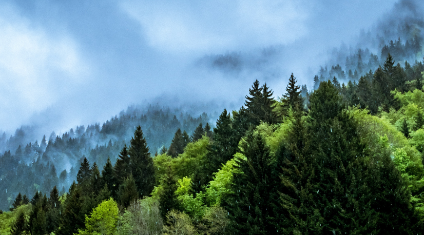 header 1 header 1